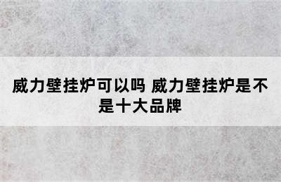 威力壁挂炉可以吗 威力壁挂炉是不是十大品牌